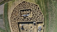 Barn Straw Maze