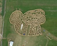 Honey Bee Straw Maze