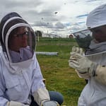 Introduction to Beekeeping