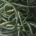 Garlic Scapes