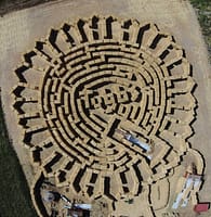 Sunflower Straw Maze